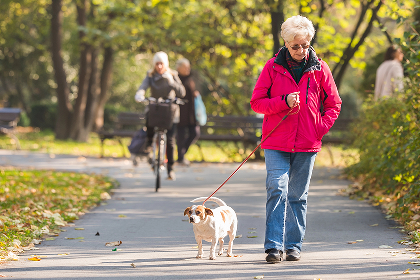 Old woman with a dog